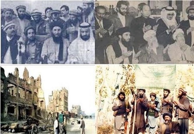 #8 ثور