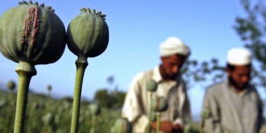 #مواد مخدر