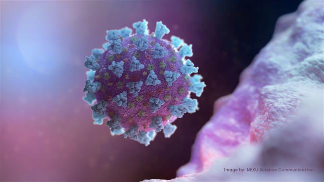 Coronavirus outbreak rising globally, China�s outbreak continues to slow down
