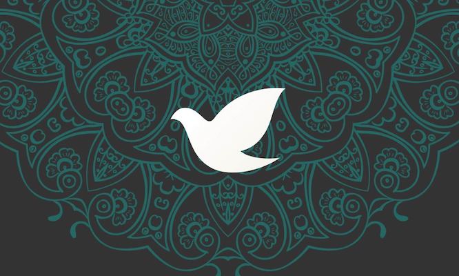 #زلمی خلیلزاد