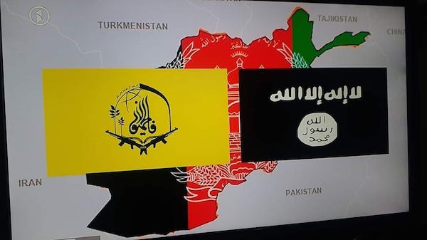 #فاطمیون