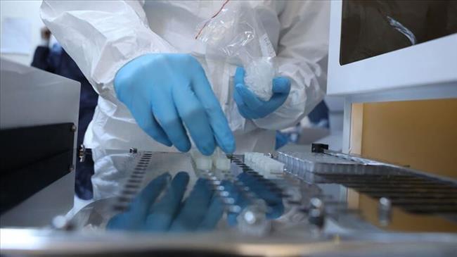 Iran sends first batch of COVID19 test kits to Germany