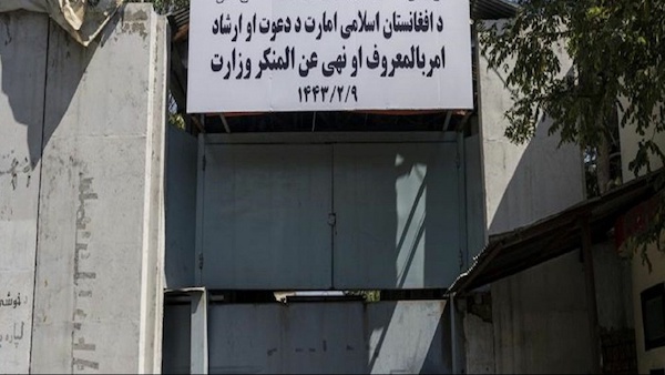 # طالبان