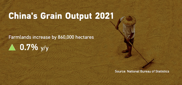China�s grain output reaches record 682.8 mln tons in 2021 (Video)