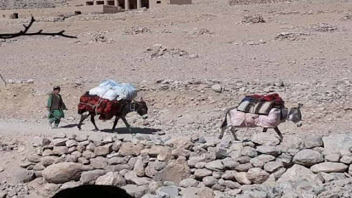 #ولایت دایکندی