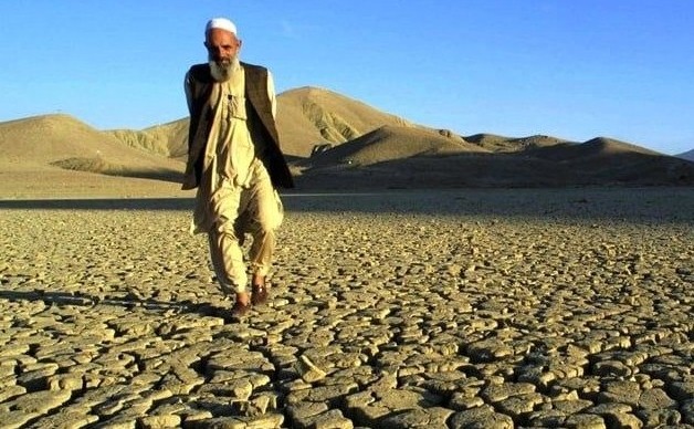 #زراعت