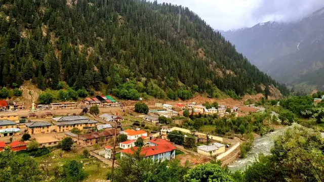 #زنان
