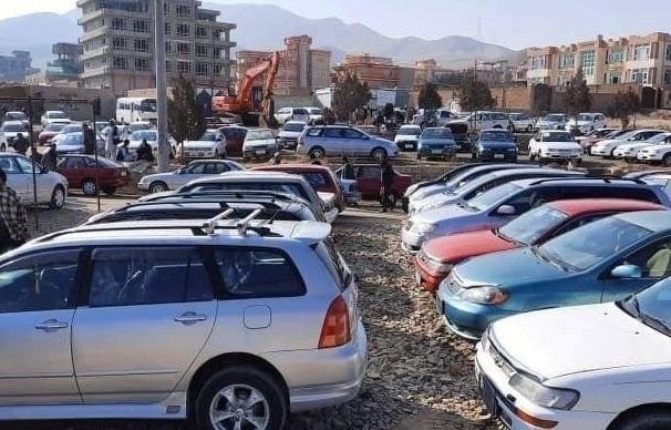 #مالی
