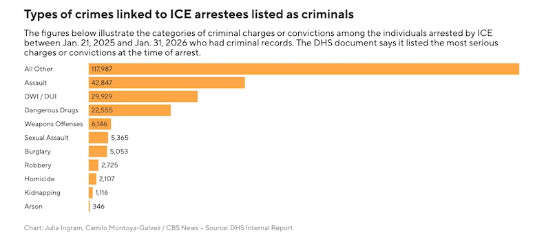 Less than 14% of those arrested by ICE in Trump`s 1st year back in office had violent criminal records, document shows