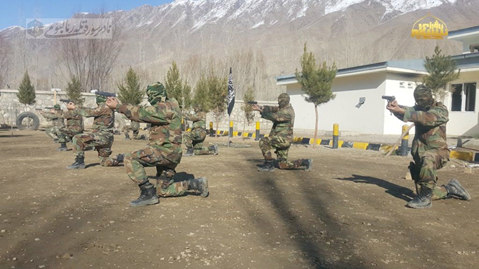Taliban Support for Terrorist Groups in Afghanistan: From the Presence of Senior Al-Qaeda Members in Kabul to Operational Freedom for TTP