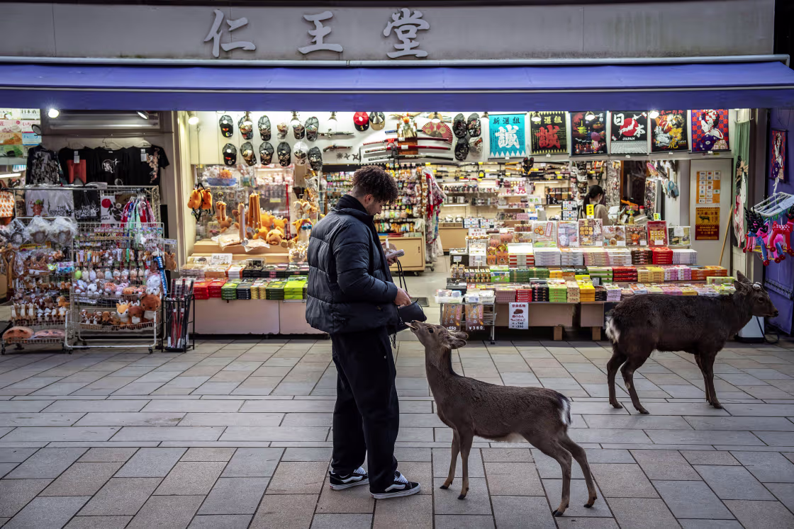 Japan tourist arrivals mark first fall in four years as Chinese visitors stay away