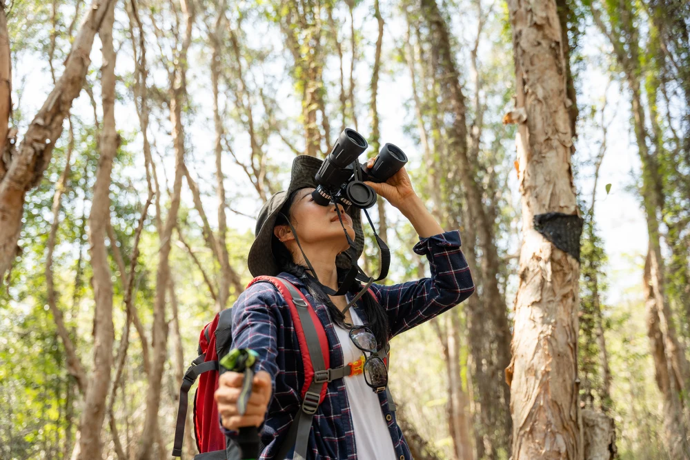 `Birdbrain` benefits: How being an expert birdwatcher may boost cognition