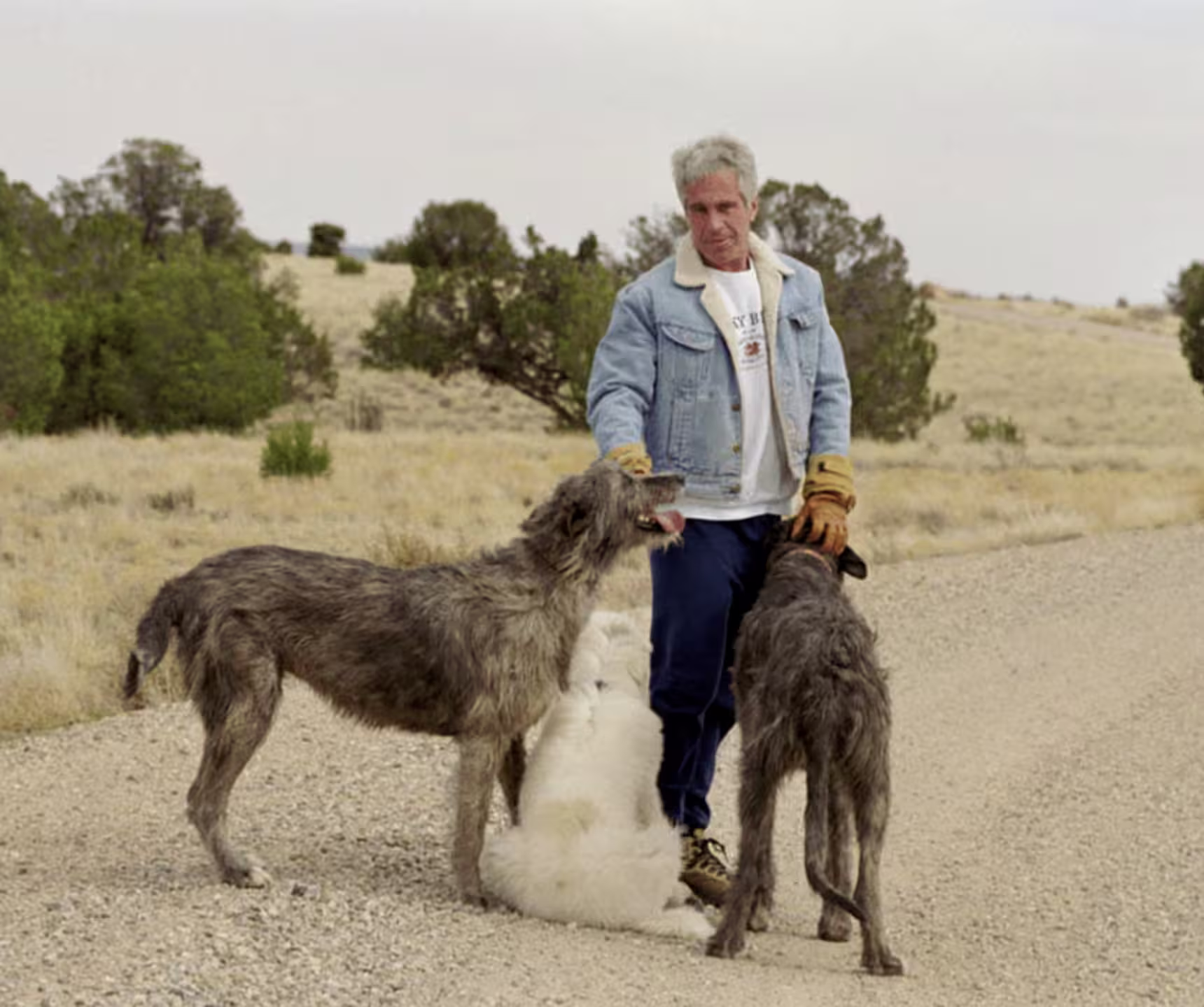 How Epstein lured girls to his Zorro Ranch and kept authorities away