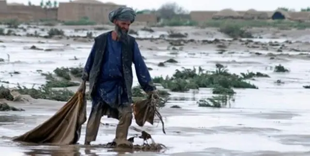 اجتماعی