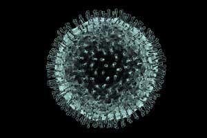 واقعیت‌هایی درباره ویروس کرونا که باید بدانید