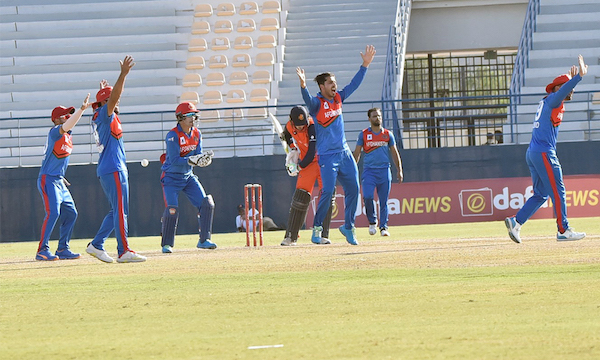 Afghanistan win ODI series after beating Netherlands by 48 runs