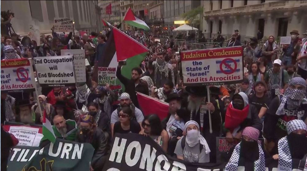 Demonstrators flood Wall St in New York demanding justice for Palestinians+ Video