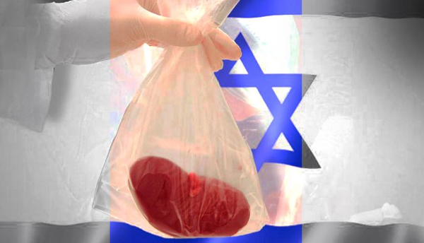  Israelis Stealing Body Organs of Palestinians Killed in War: European Monitor