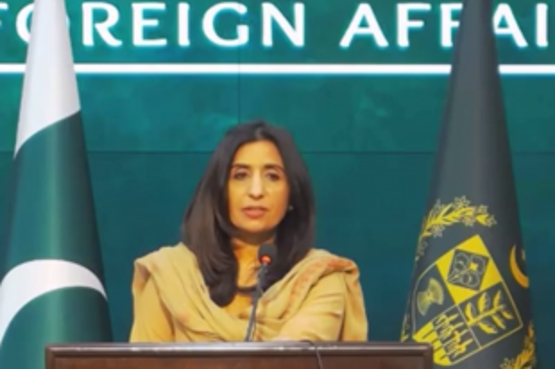 Pakistan FM: Islamabad Wants Peaceful, Stable Afghanistan