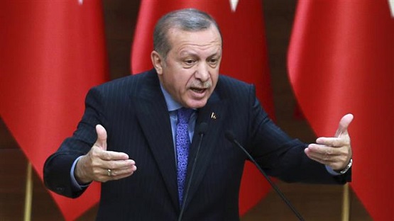 Turkish diaspora in Europe should have at least 5 children: Erdogan
