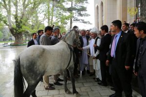  ISIS-K leader Hafiz Saeeds horse presented to the Afghan President
