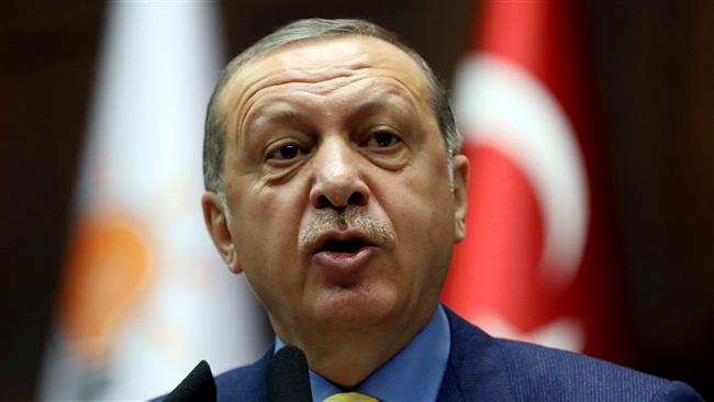 Germany bans Erdogan from addressing ethnic Turks outside G20 summit