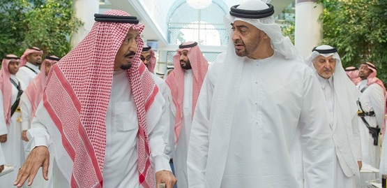  What Divides Saudi Arabia, UAE?