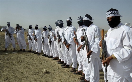  Taliban Welcomes Afghanistanian Jihadi Leaders Offer for Direct Talks
